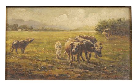 Anonimo Mucche al pascolo (XX secolo) Olio su tavola, 13x22 cm, con cornice:...