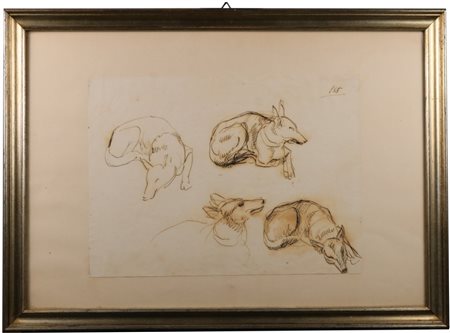 Arturo Dazzi (Carrara, 1881 - Pisa, 1966) Studio di cane Tecnica mista su...
