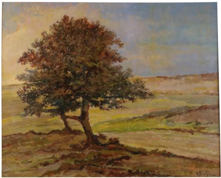 Edoardo Gordigiani (Firenze, 1866 - Firenze, 1961) Quercia Olio su tavola,...