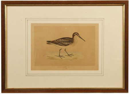 Alexander Francis Lydon (1836 - 1917) Lotto di 3 incisioni Xilografia, 12x18...