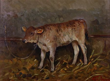 Mario Tamburini (Casciana Terme, 1914 - Casciana Terme, 1989) Il vitellino,...