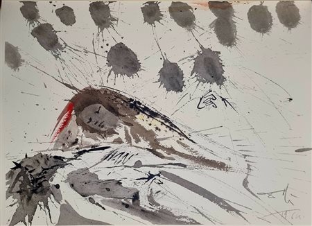 DALI' SALVADOR Spagna 1904 - 1989 "Biblia Sacra - Vulgatae Editionis"