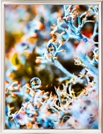 Inna Etuvgi, "L'occhio di Horus", 2022, stampa Gicleè su carta Canson Fine...