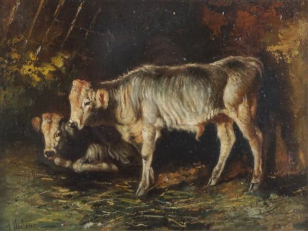 Antonio Milone (Napoli 1834 - 1919)  - Buoi