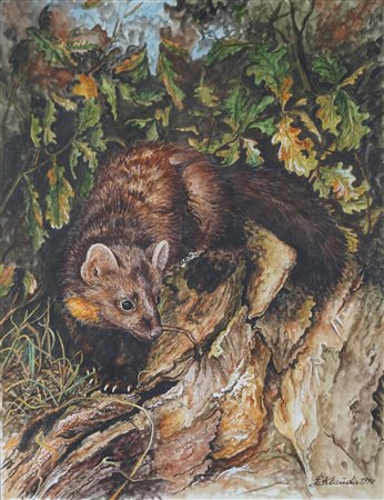 Anonimo di inizio XX secolo - Martora in paesaggio boschivo, 1990