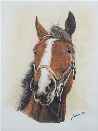 Scuola del secolo XX - Testa di cavallo, 1982