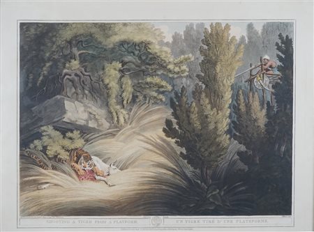 Incisione a colori dell'inizio del secolo XIX "Shooting a tiger from a platform"