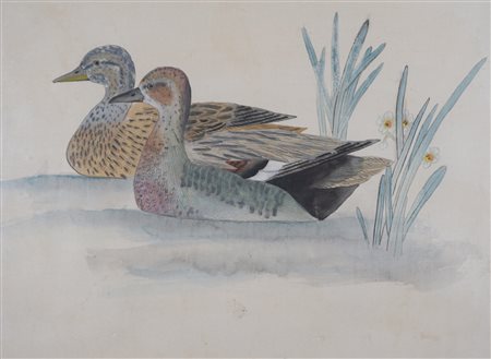 Anonimo di fine XIX secolo - Papere