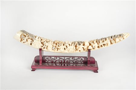  Zanna intera in avorio di elefante  Cm 55,5×12×4,5