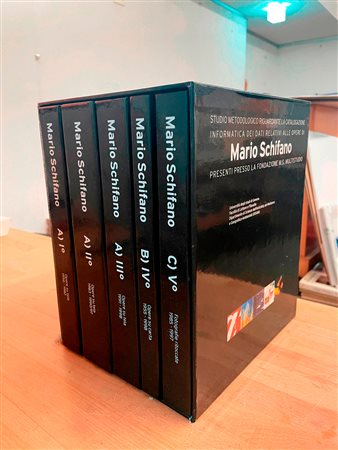 MARIO SCHIFANO - Studio metodologico riguardante la catalogazione informatica dei dati relativi alle opere di Mario Schifano presenti presso la Fondazione M.S. Multistudio