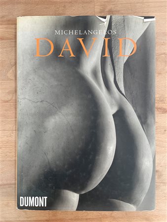 CATALOGHI AUTOGRAFATI (AURELIO AMENDOLA) - Michelangelos David, 2002