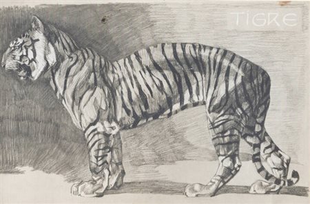 PITTORE ANONIMO<BR>"Tigre"