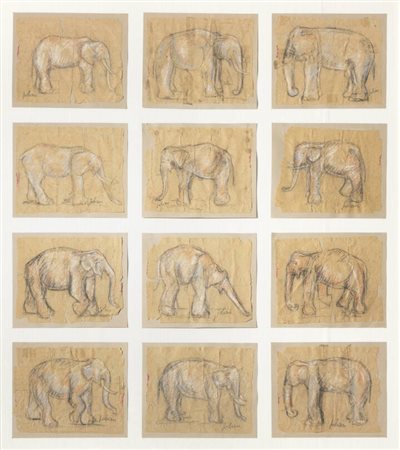 ETIENNETTE JOHAN<BR>Spagna XX secolo<BR>Lotto di 12 disegni "Elephants"