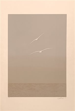 LAZZARO WALTER Roma (Roma) 1914 Due gabbiani Serigrafia su carta es PA...