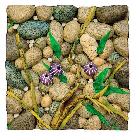 GILARDI Piero, Spiaggia con ricci di mare