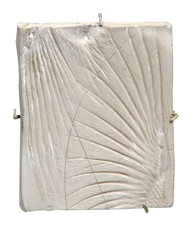 LAI Maria, Senza titolo