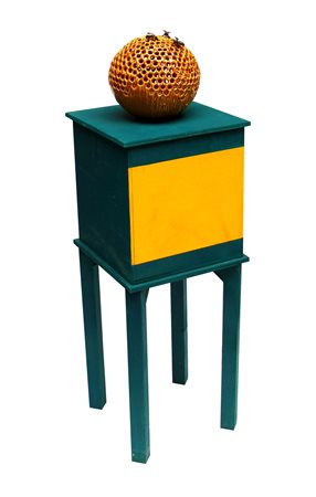 CARROLL Jessica, Alveare