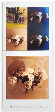 MAURIZIO GALIMBERTI, 15,5 X 7,3 cm, Titolo: "BiFlowers" Mosaico 2 Fujifilm...