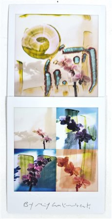 MAURIZIO GALIMBERTI, 15,5 X 7,3 cm, Titolo: "BiFlowers" Mosaico 2 Fujifilm...