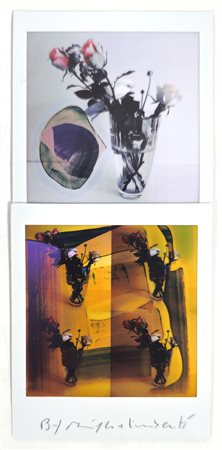 MAURIZIO GALIMBERTI, 15,5 X 7,3 cm, Titolo: "BiFlowers" Mosaico 2 Fujifilm...