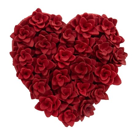 Mizokami Kazumasa 
Cuore 2014
