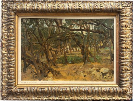 SANDRO VACCHETTI CARRU 1889 - TORINO 1976 Ulivi a Bordighera