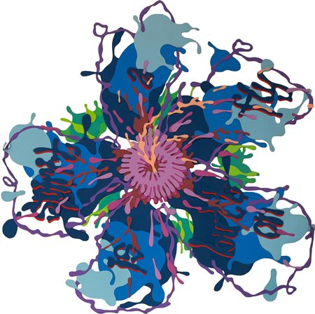 Spirit is a Button Fly