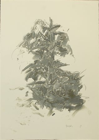 ATTILIO FORGIOLI, "Pianta"