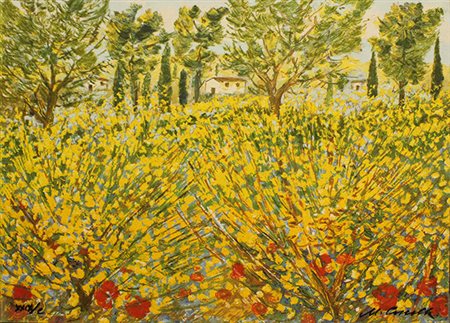 MICHELE CASCELLA "Ginestre in Toscana", 1984