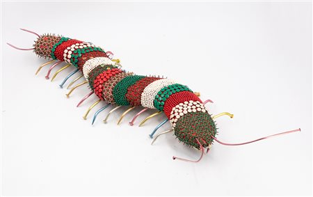 CARLO PASINI (1972) - I Millepiedi