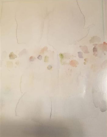 RICCARDO GUARNERI, "Ingiustificate vivacità"