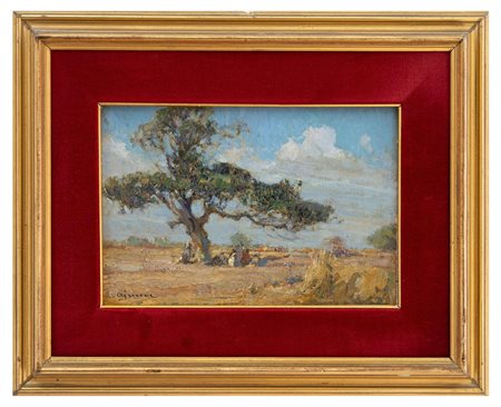 Lidio Ajmone - "Il Sicomoro della concessione"