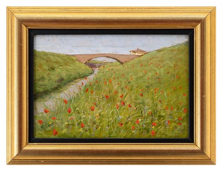 Augusto Rey - "Papaveri"