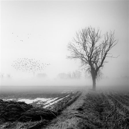 GRAZIANO ALGHISI, Stormo di Silenzio, 2024