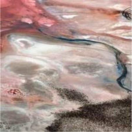 ROSSELLA PEZZINO DE GERONIMO, Wonderlands out of this world, 2023