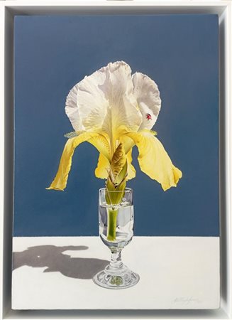 PAOLO TAGLIAFERRO, La passeggera del sole, 2024