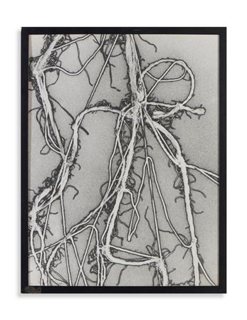 MAN RAY  (1890 - 1976) - ENAUGH ROPE II.