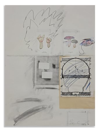 TWOMBLY CY (1928 - 2011) - MUSHROOMS II. FROM: NATURAL HISTORY PART I .