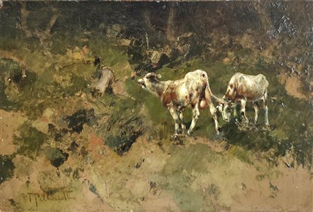 Tito Pellicciotti (Barisciano 1871 – 1950)