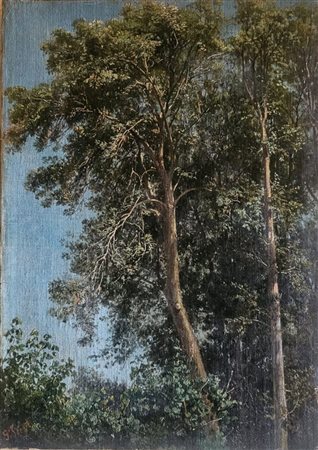 Gerolamo Trenti ( Gonzaga 1824 - Pomponesco 1898)