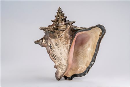Federico Buccellati - Conchiglia decorativa, Milan, mid-20th century