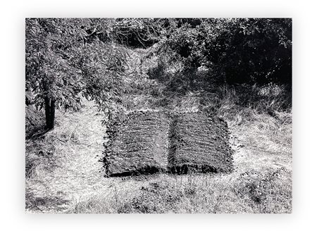 MIRELLA BENTIVOGLIO (1922-2017) - Senza Titolo (Libro-campo)