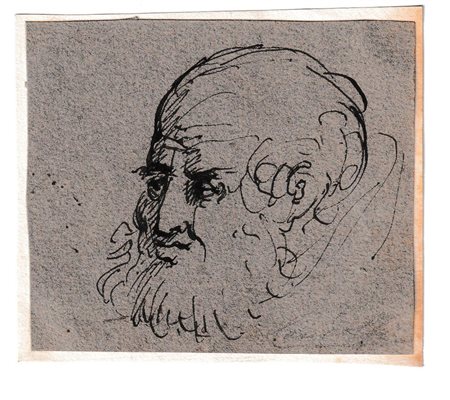  
Varii studi di teste 
 