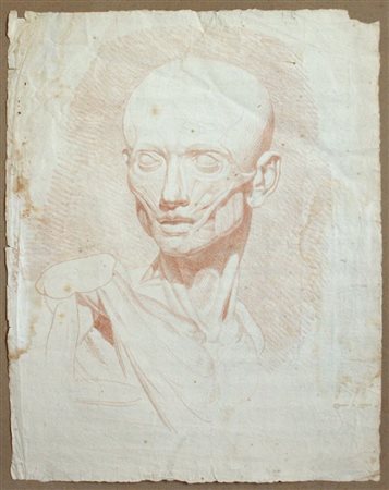 Louis Pierre Deseine (attribuito a) (1749 - 1822) 
Tête d'Écorché (Lo scorticato) 
 