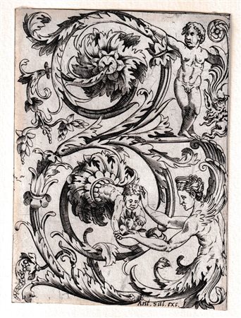 Marcantonio Raimondi (scuola di) (c. 1480 - 1534) 
Grottesca vegetale a forma di S rovesciata, da Giovanni da Udine? 
 