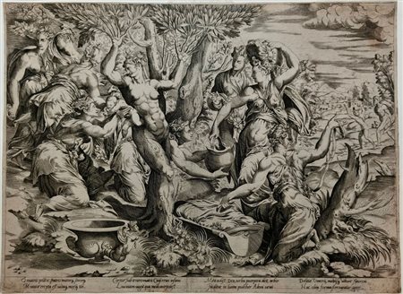 Enea Vico (1523 - 1567) 
La nascita di Adone, da Francesco Salviati 1544
 