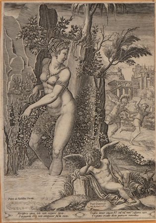 Giorgio Ghisi (1520 - 1582) 
Venus e la rosa, da Luca Penni 
 