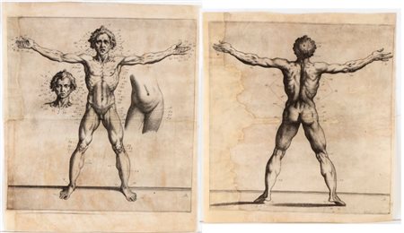 Raffaele Schiaminossi (1572 - 1622) 
Uomo vitruviano 
 