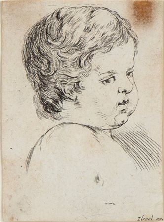 Stefano della Bella (Firenze, 1610 - 1664) 
Testa di fanciullo girata di tre quarti 
 