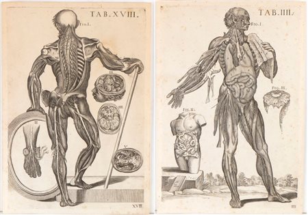 detto Pietro da Cortona (after) (Cortona, 1596 - Roma, 1669) 
Tabulae anatomicae. Tav. IIII e Tav. XVIII 
 